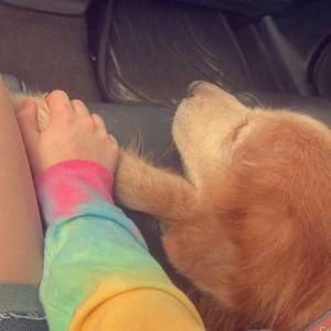 Meet your Posher, Hannah